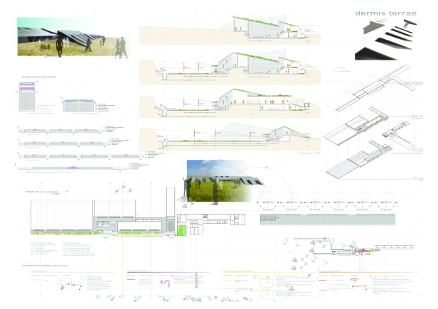 080707_tiro_1premio_pagina_2