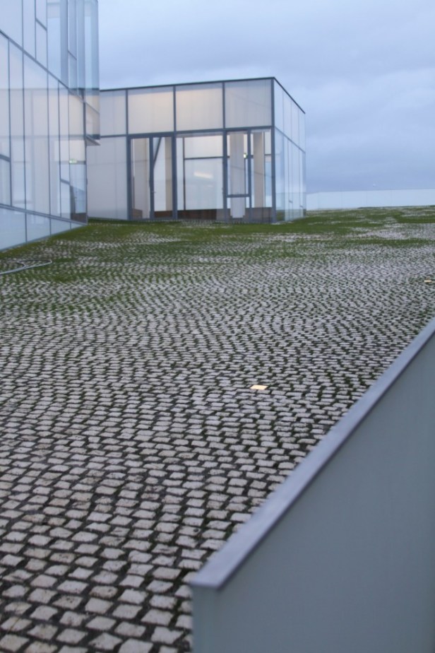 Museu do Oceano e do Surf - 3