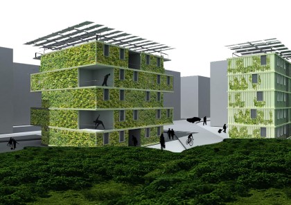 Renova SP - Cordeiro 1 - 1º Lugar