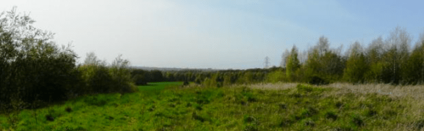 Concurso Internacional - Cronton - Inglaterra