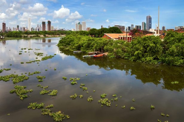 Escola Novo Mangue - Recife/PE_ Foto: Mateus Sá